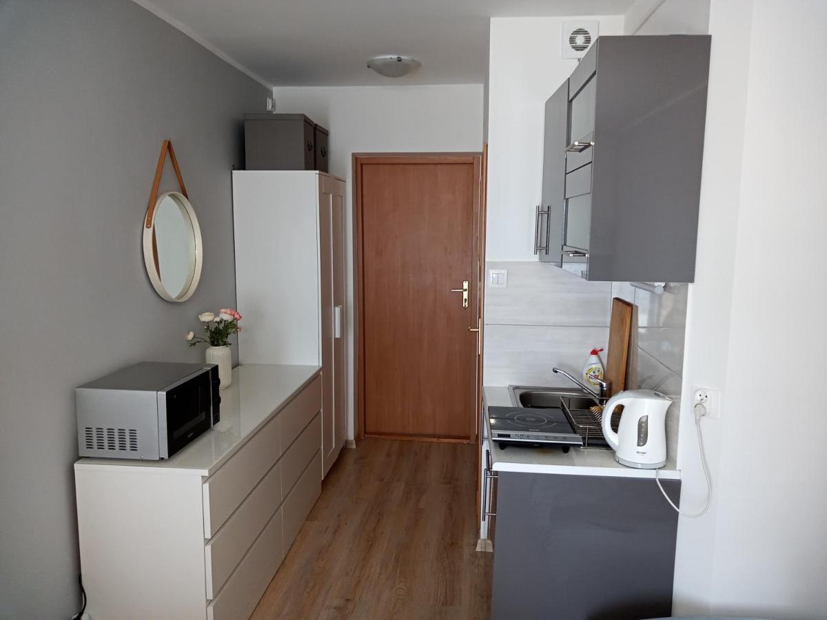 U Muzykow Apartment
